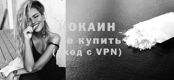 индика Медвежьегорск