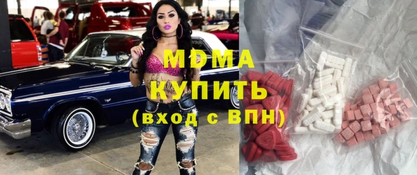 индика Медвежьегорск
