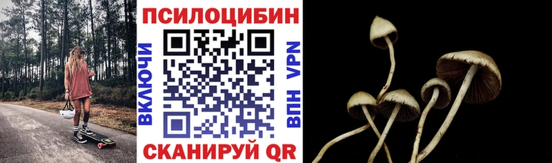 купить  цена  Калач  Галлюциногенные грибы MAGIC MUSHROOMS 